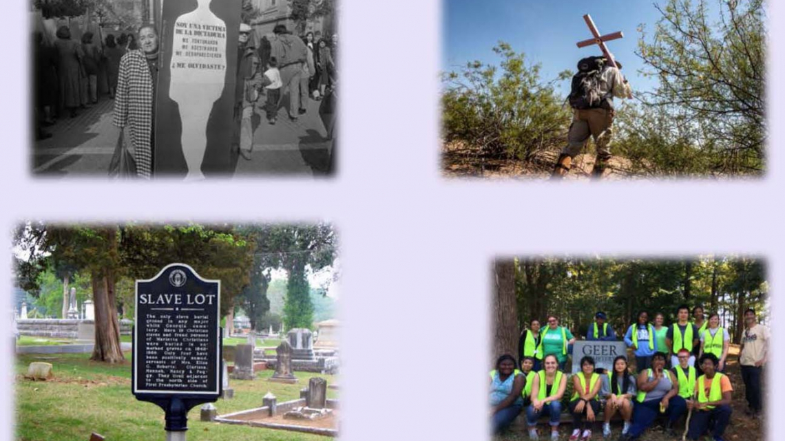 collage of images